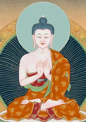 Mutlaqo yalangoch refleks