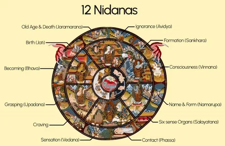 What Are the 12 Links of Dependent Origination? (12 Nidanas)