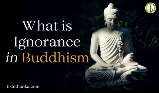 What Does Ignorance Mean in Buddhism?: (Delusion or Avidya)