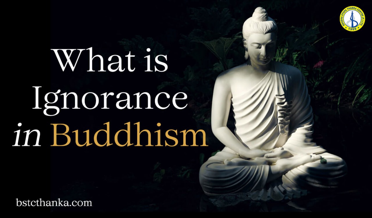 What Does Ignorance Mean in Buddhism?: (Delusion or Avidya)