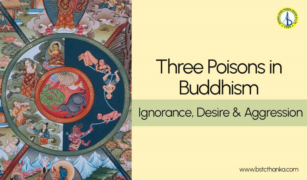 3 Poisons in Buddhism: (Ignorance, Desire & Aggression)